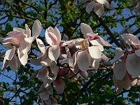 2011-04-25_16-54-59_0124
