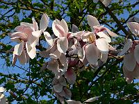 2011-04-25_16-55-09_0129