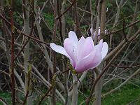 2014-04-09_17-52-55_0114