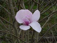 2014-04-09_17-53-16_0117