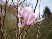 2014-04-10_08-39-34_0158