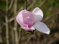 2014-04-10_08-39-56_0160