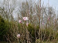 2014-04-10_08-40-08_0161