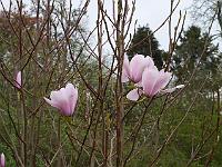 2014-04-10_17-32-49_0063