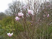 2014-04-10_17-33-17_0064