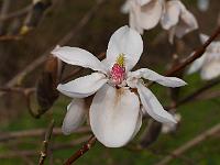 2015-04-11-15-15-10