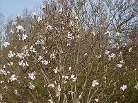 2015-04-12-08-32-21