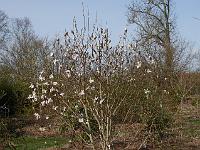 2015-04-12-08-32-57