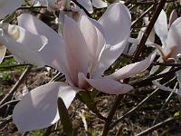 2015-04-21-09-11-58