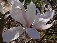 2015-04-22-08-29-42
