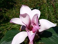 03-08-2007_10-38-54_48
