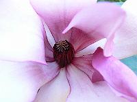 03-08-2007_14-25-26_27