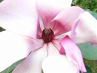 03-08-2007_18-42-56_03