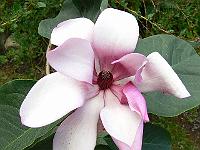 03-08-2007_18-43-06_07