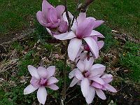 2010-05-03_08-09-56_0004
