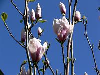 2009-04-20_12-03-48_0082