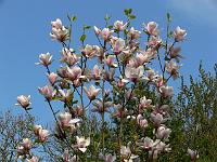 2009-04-26_16-31-54_0310