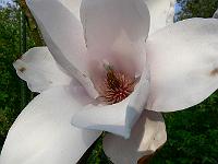 2009-04-26_16-35-03_0324