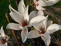2011-04-26_17-18-47_0135