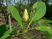 2011-05-11_14-33-41_0004