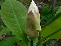 2011-05-16_08-23-38_0025