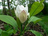 2011-05-18_09-24-54_0014