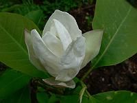 2011-05-18_13-06-53_0064