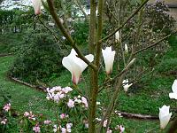 01-05-2008_08-31-02_42