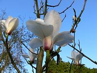01-05-2008_20-41-31_79