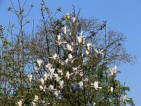 2009-04-30_07-18-23_0118