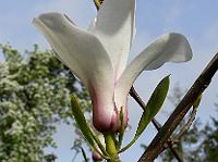 2009-05-03_08-20-01_0171