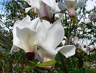 2010-05-21_07-43-42_0024