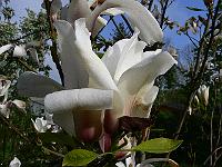 2010-05-21_07-43-58_0027