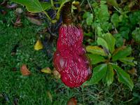 2010-10-19_10-44-32_0056