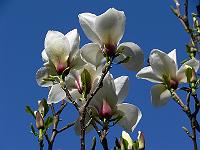 2011-04-23_15-18-16_0058