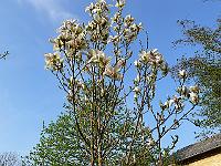2011-04-26_16-51-44_0003