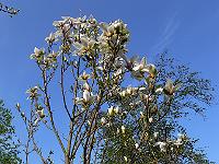 2011-04-26_16-52-36_0013