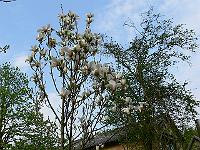 2011-04-27_16-16-37_0156