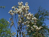 2011-04-29_13-50-14_0038