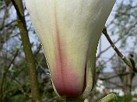 28-04-2008_21-33-16_66