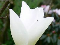 28-04-2008_21-36-45_141