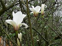 28-04-2008_21-37-10_147