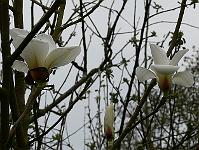 28-04-2008_21-37-31_153