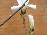 28-04-2008_21-38-22_165