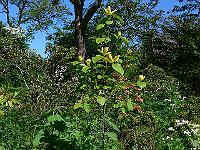 2010-06-04_11-02-45_0002