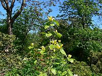 2010-06-04_11-03-15_0007