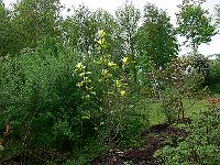 2011-05-16_14-55-38_0022