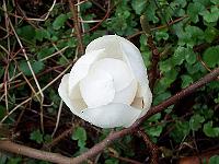 02-05kodak_168