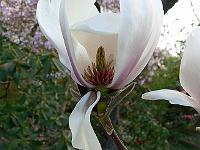 18-04-2007_08-26-25_02