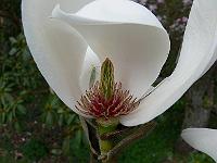 18-04-2007_15-55-14_04